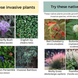 Loudoun County Master Gardeners Presentation